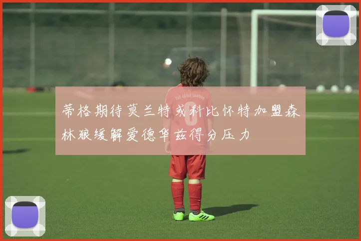 蒂格期待莫兰特或科比怀特加盟森林狼缓解爱德华兹得分压力