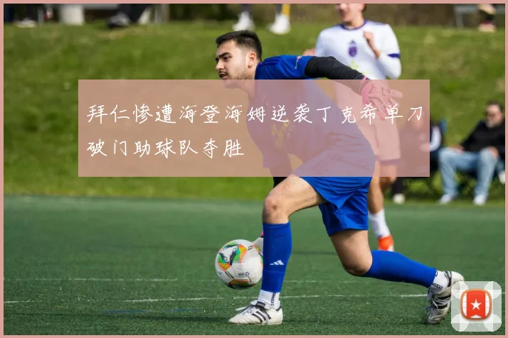 拜仁惨遭海登海姆逆袭丁克希单刀破门助球队夺胜